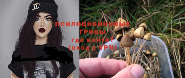 прущая мука Козловка