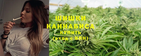 mdpv Козельск