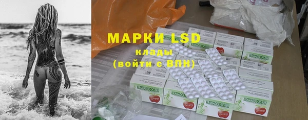 крисы Касимов