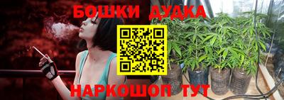 spice Кинель